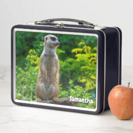 Meerkat Metalen Lunchbox