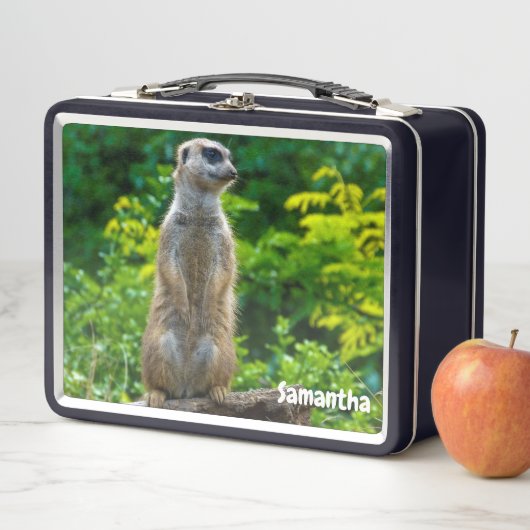 Meerkat Metalen Lunchbox (In situ)