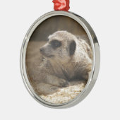 Meerkat Metalen Ornament (Links)