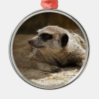 Meerkat Metalen Ornament