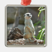 Meerkat Metalen Ornament (Voorkant)