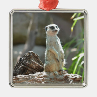 Meerkat Metalen Ornament