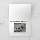 Meerkat Mist je Kaart (Binnen)