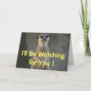 Meerkat Mist je Kaart