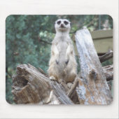 Meerkat Mousepad Muismat (Voorkant)