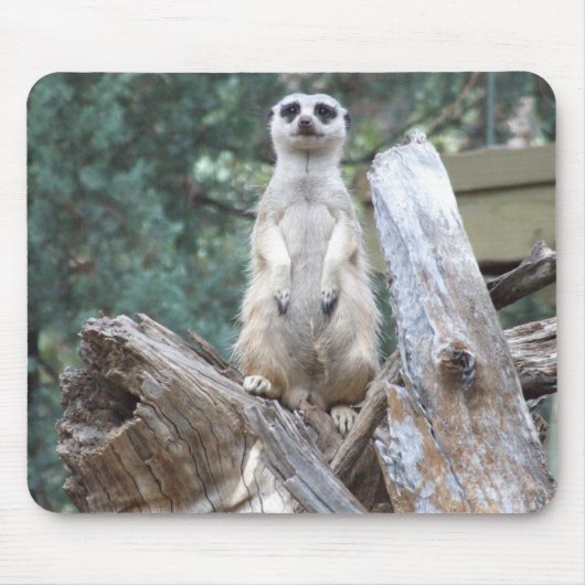 Meerkat Mousepad Muismat (Voorkant)