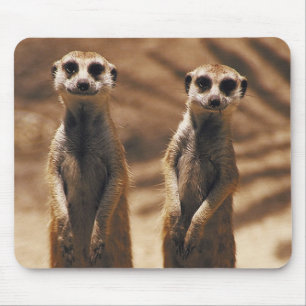 Meerkat mousepad muismat