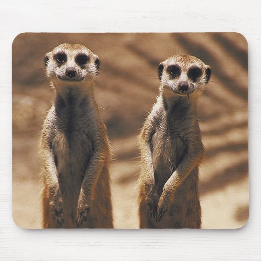 Meerkat mousepad muismat (Voorkant)