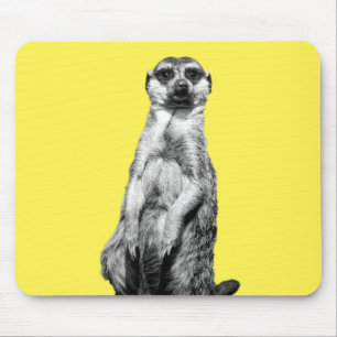 Meerkat Muismat