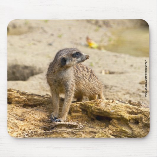 Meerkat Muismat (Voorkant)