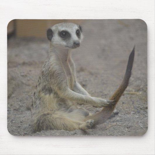 Meerkat Muismat (Voorkant)