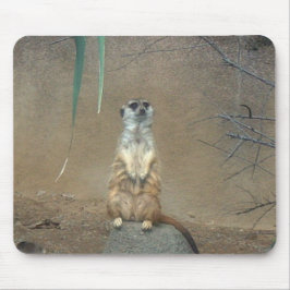 Meerkat Muismat