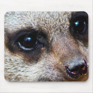 Meerkat Muismat