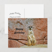 Meerkat natuurfoto verjaardag briefkaart (Voorkant / Achterkant)
