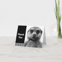 Meerkat Note Kaart