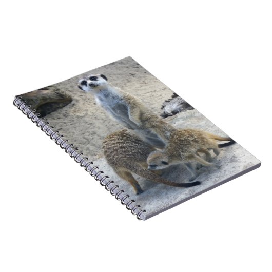 Meerkat Notitieboek (Rechterzijde)