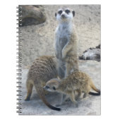 Meerkat Notitieboek (Voorkant)