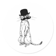 Meerkat onder dekking