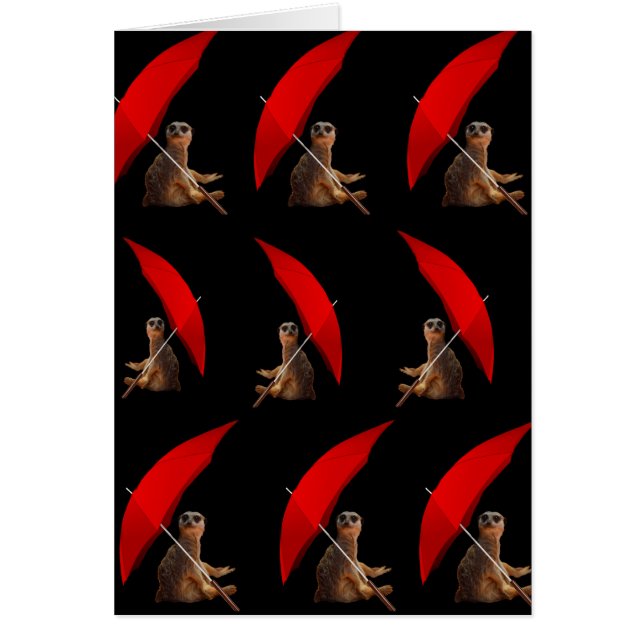 Meerkat onder paraplu, (Voorkant)