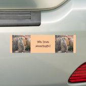 Meerkat op achterpoten bumpersticker (Op auto)
