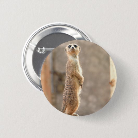 Meerkat op Attentie Button (Voorkant /achterkant)