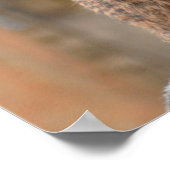 Meerkat op Attentie Poster (Hoek)