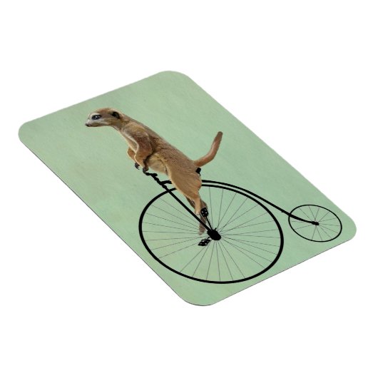 Meerkat op Black Penny Farthing 2 Magneet (Rechterzijde)