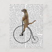 Meerkat op Black Penny Farthing Briefkaart (Voorkant)