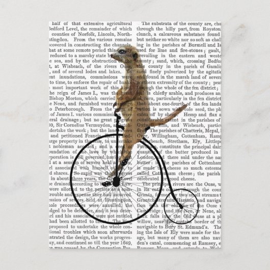 Meerkat op Black Penny Farthing Briefkaart (Voorkant)