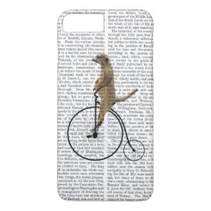 Meerkat op Black Penny Farthing Case-Mate iPhone Case