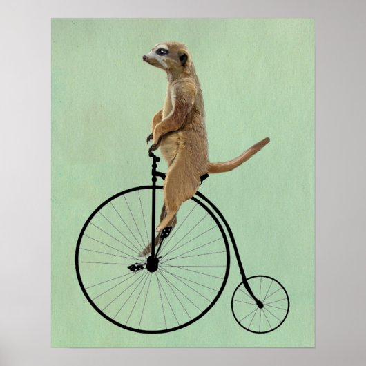 Meerkat op Black Penny Farthing Poster (Voorkant)