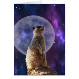 Meerkat op Blue Full Moon Night,