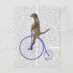 Meerkat op Blue Penny Farthing Briefkaart