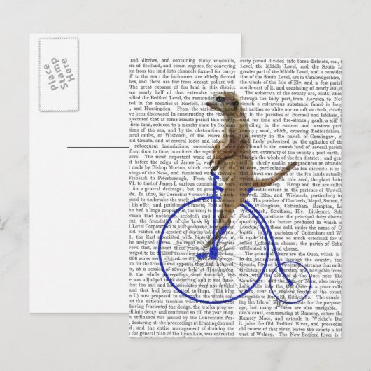 Meerkat op Blue Penny Farthing Briefkaart (Voorkant / Achterkant)
