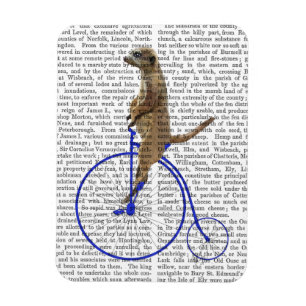 Meerkat op Blue Penny Farthing Magneet