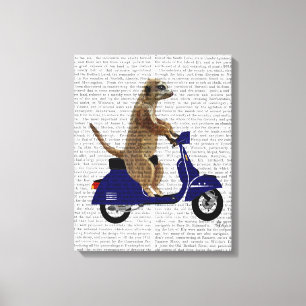 Meerkat op donkerblauwe brommer canvas afdruk