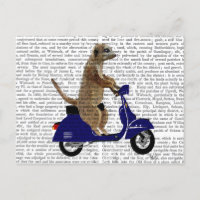 Meerkat op Donkere Blauwe Moped