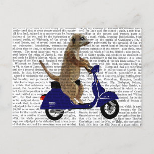 Meerkat op Donkere Blauwe Moped Briefkaart