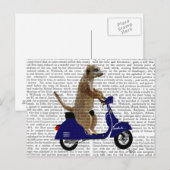 Meerkat op Donkere Blauwe Moped Briefkaart (Voorkant / Achterkant)
