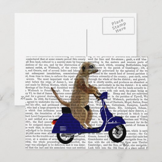 Meerkat op Donkere Blauwe Moped Briefkaart (Voorkant / Achterkant)