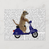 Meerkat op Donkere Blauwe Moped Briefkaart (Voorkant)
