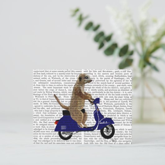 Meerkat op Donkere Blauwe Moped Briefkaart (Staand voorkant)