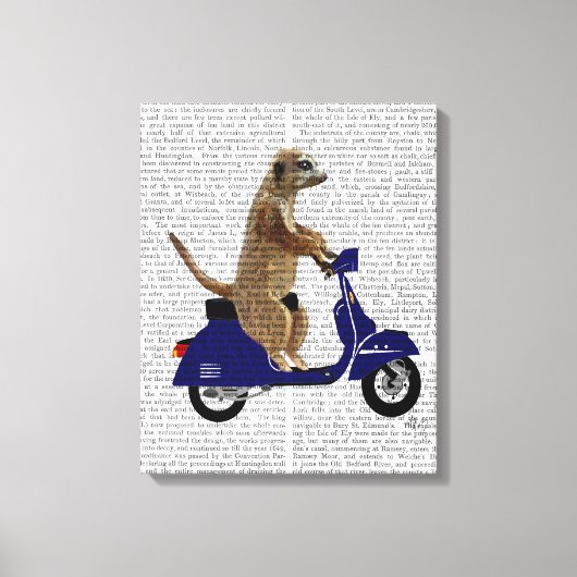 Meerkat op Donkere Blauwe Moped Canvas Afdruk (Voorkant)
