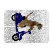 Meerkat op Donkere Blauwe Moped Magneet (Horizontaal)