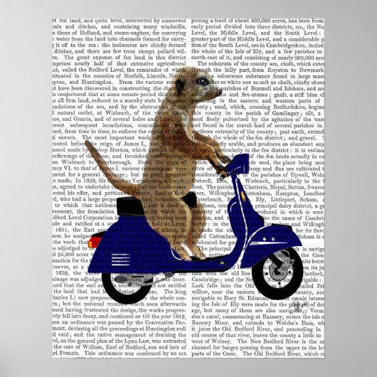 Meerkat op Donkere Blauwe Moped Poster (Voorkant)