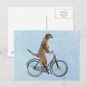 Meerkat op fiets 2 briefkaart (Voorkant / Achterkant)