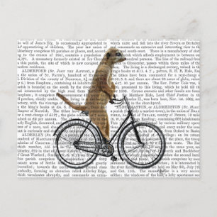 Meerkat op fiets briefkaart