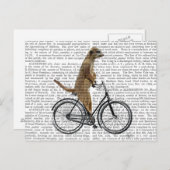 Meerkat op fiets briefkaart (Voorkant / Achterkant)