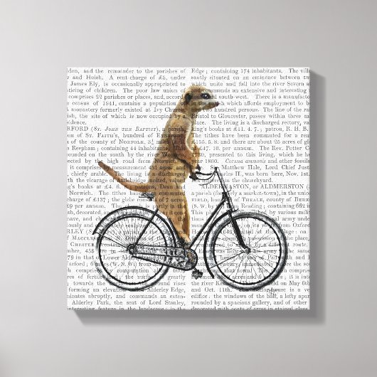 Meerkat op fiets canvas afdruk (Voorkant)