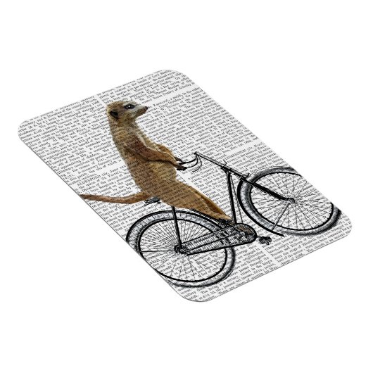 Meerkat op fiets magneet (Rechterzijde)